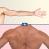 Extended arm at top and bare back below, separated by a plus-divider, illustrating a before/after body comparison without showing the face.