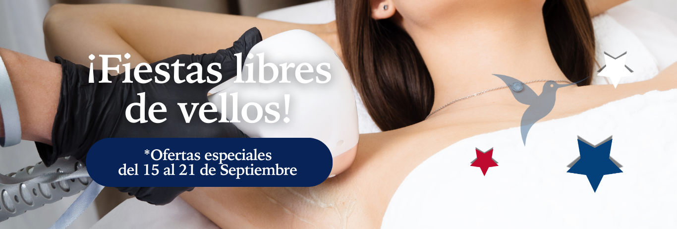Fiestas Patrias Banner